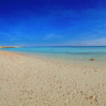 The Ultimate Guide to Snorkeling in the Daymaniyat Islands: 5 Things You Must Know
