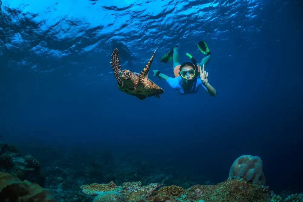 Month by Month Guide to Visiting the Daymaniyat Islands